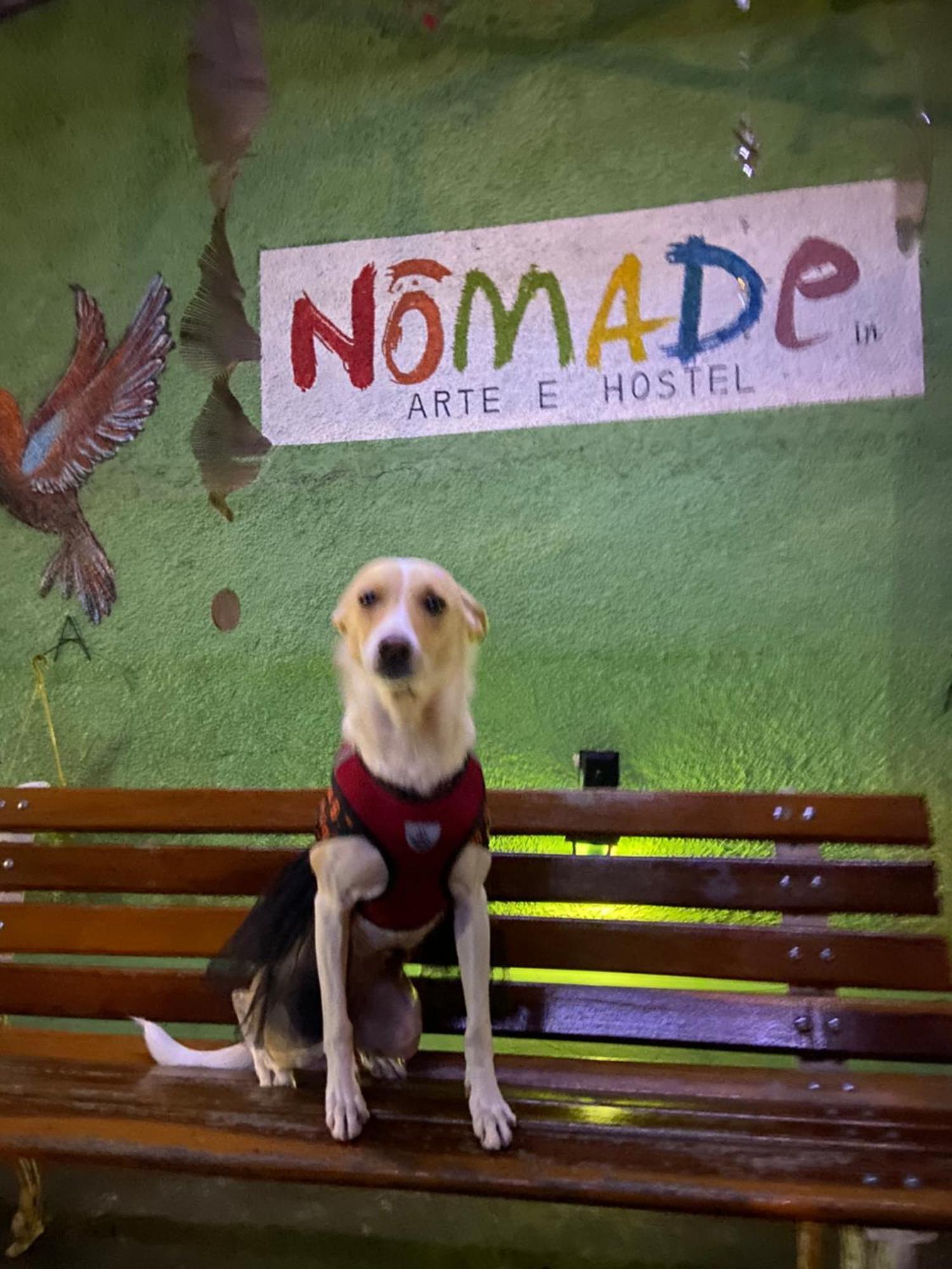 Nomade In Arte E Hostel Сао Паоло Екстериор снимка